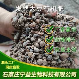 河北生物菌與生物質能技術服務 綠色能源的未來之路