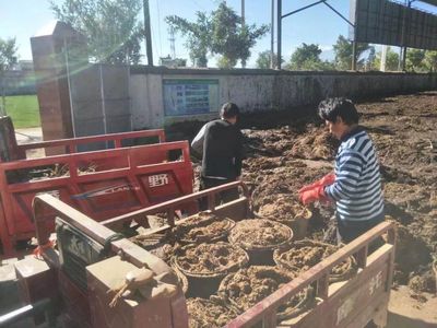 順豐洱海環保股份榮膺“云南省百戶優強民營企業”稱號，生物質能技術服務引領綠色新篇章