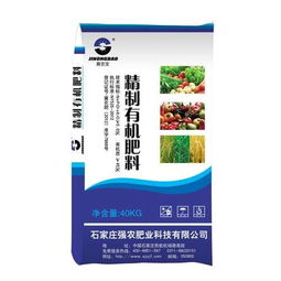 石家莊強(qiáng)農(nóng)天然生物有機(jī)肥 有機(jī)肥行業(yè)與生物質(zhì)能技術(shù)服務(wù)的創(chuàng)新融合