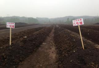微生物肥料 綠色農業的新引擎，生物質能技術服務的市場價值